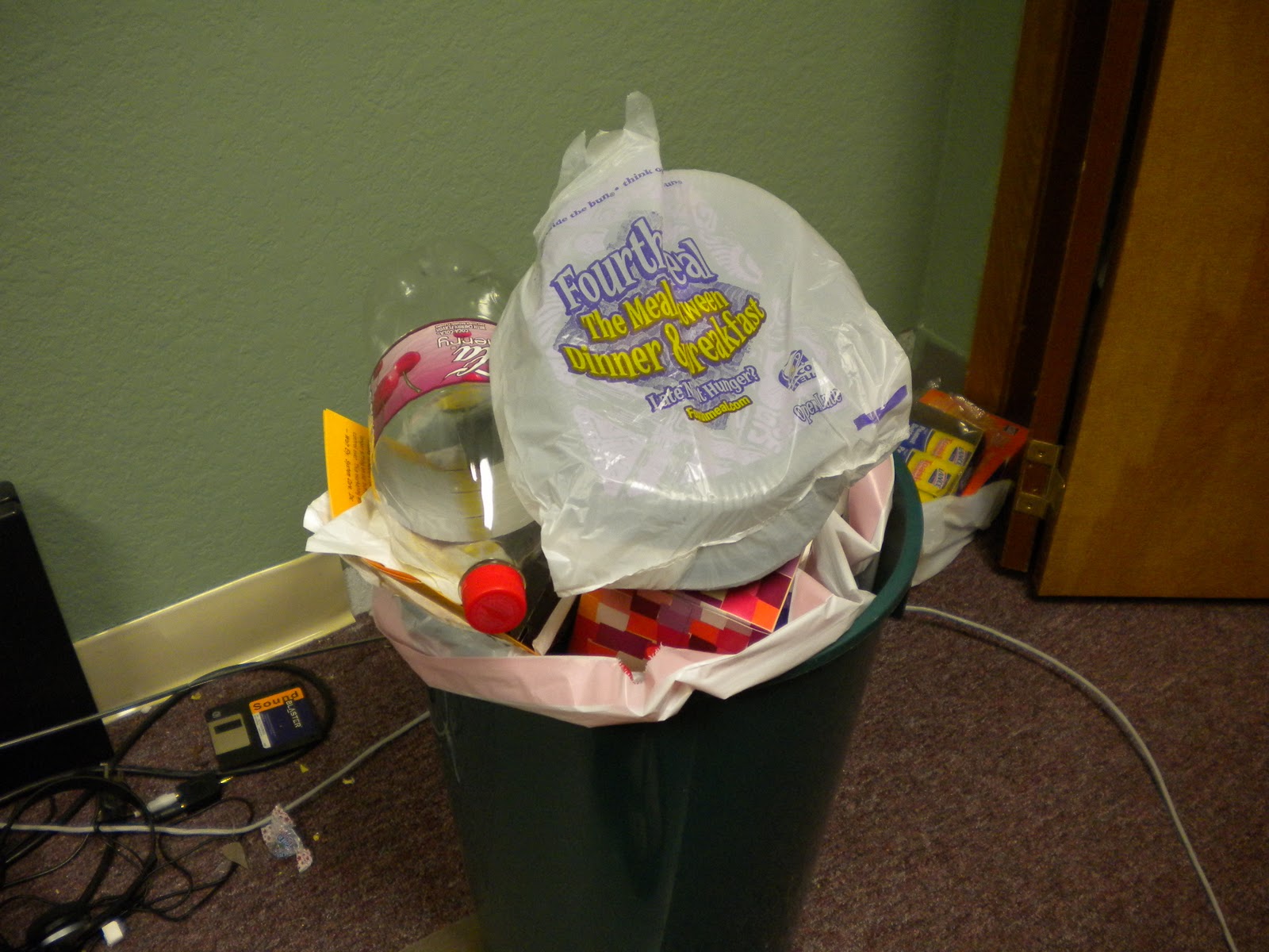 The Everything Girl Taking Out the Trash